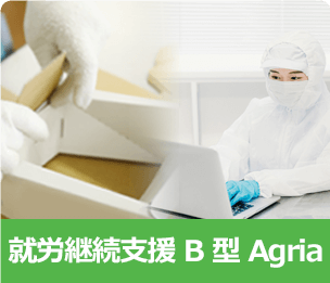 就労継続支援 B 型 Agria