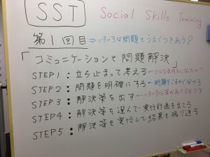 SSTセミナー