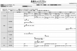 キャリアプラン_page-1