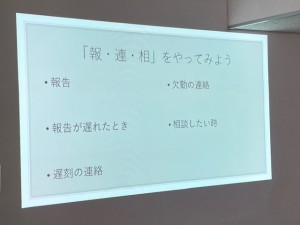 ホウレンソウ①