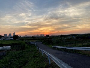 見沼田んぼの夕日