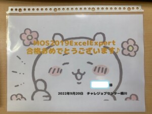 MOSExpert合格.pptx