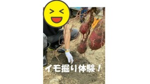 プレゼンテーション1