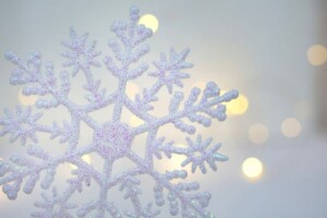 l_fda4b0d3-a634-4dde-b988-9863ab3ee１４０⛄