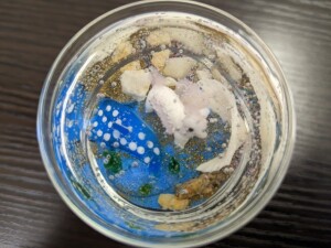 PXL_20230221_004801386上