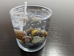 PXL_20230224_004518983鈴１