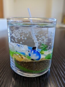 PXL_20230222_041343513トップ