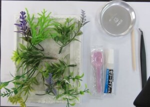 Tさんこんな感じ