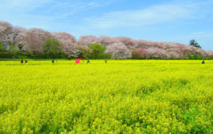 スクリーンショット 2024-04-15 110839