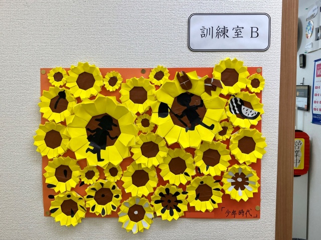 ひまわり