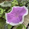 image0