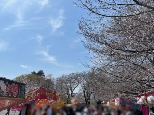 さくら祭り