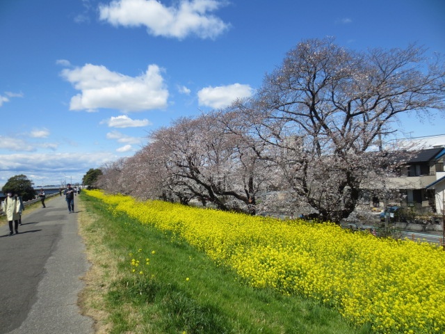 photo8