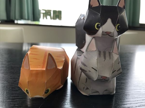 猫４