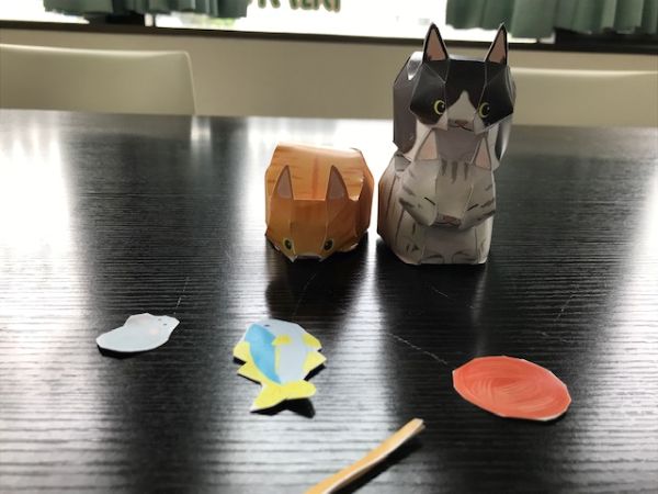猫３