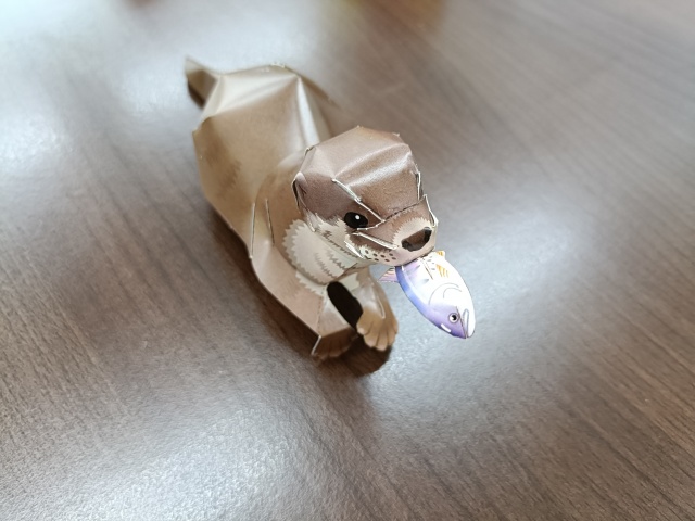 IMG20250616105225