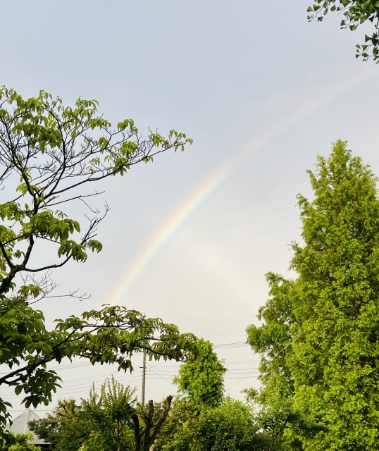 image0