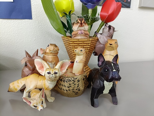 IMG20250908090717