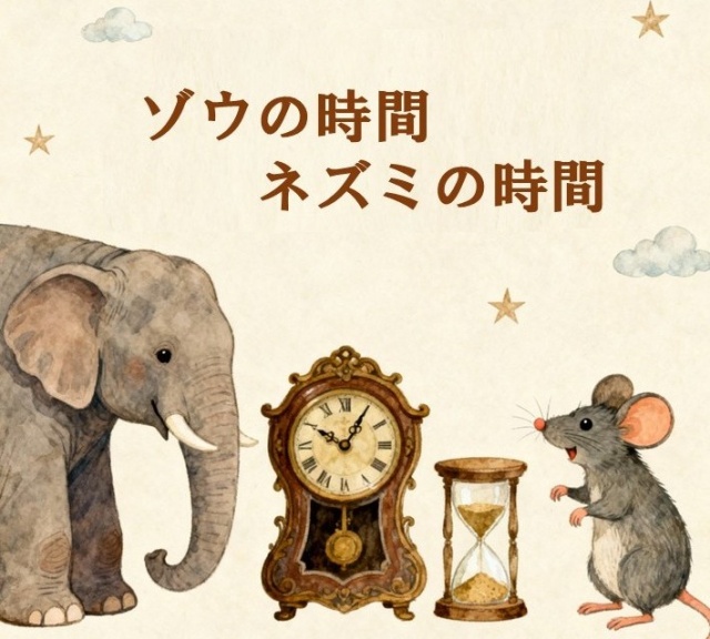 スライド1