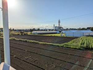 農園全体リサイズ済