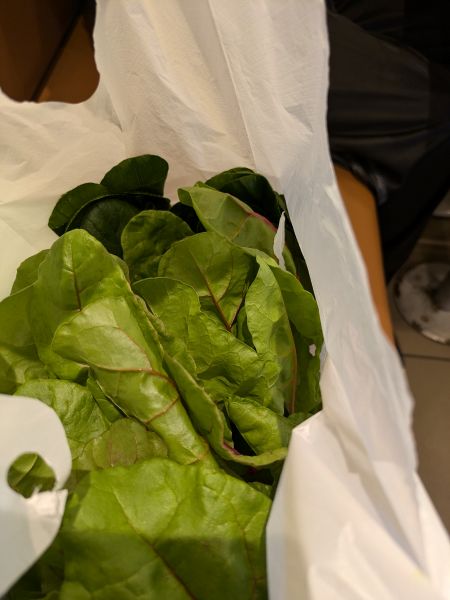 小松菜（収穫済み） - リサイズ済