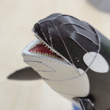 シャチ③