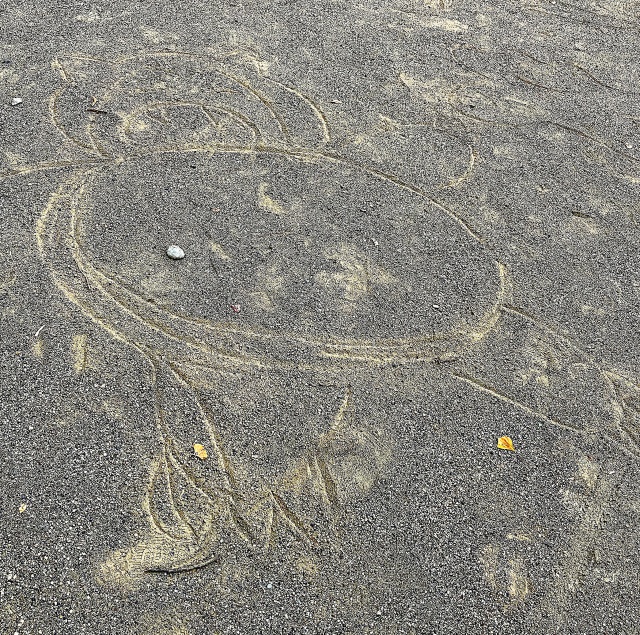 Polish_20260618_163007557