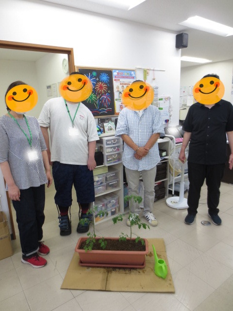 トマト植えが完成した記念写真