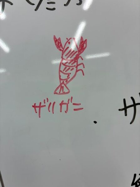 ざりがに2