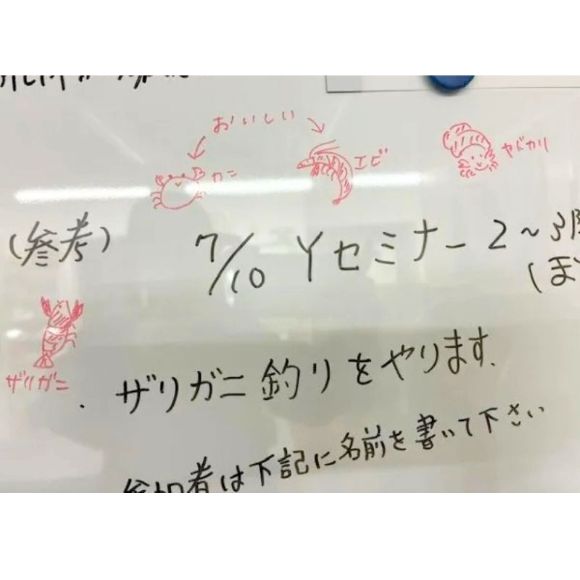 ザリガニお知らせ